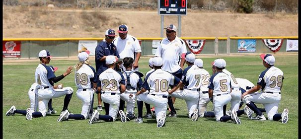 All 19 HR From Chula Vista Little League's Record Breaking 2009 LLWS  Park  View (Chula Vista, Calif.) Little League came to Williamsport in 2009 and  hit 19(!) home runs. The most