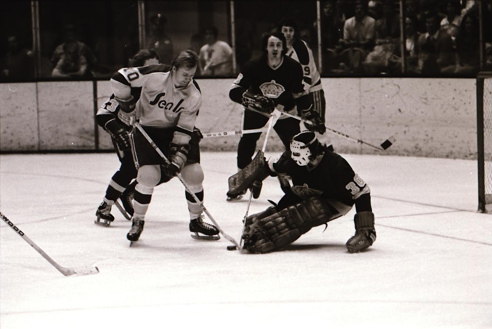 Defunct California Golden Seals NHL 1976 - California - Pin